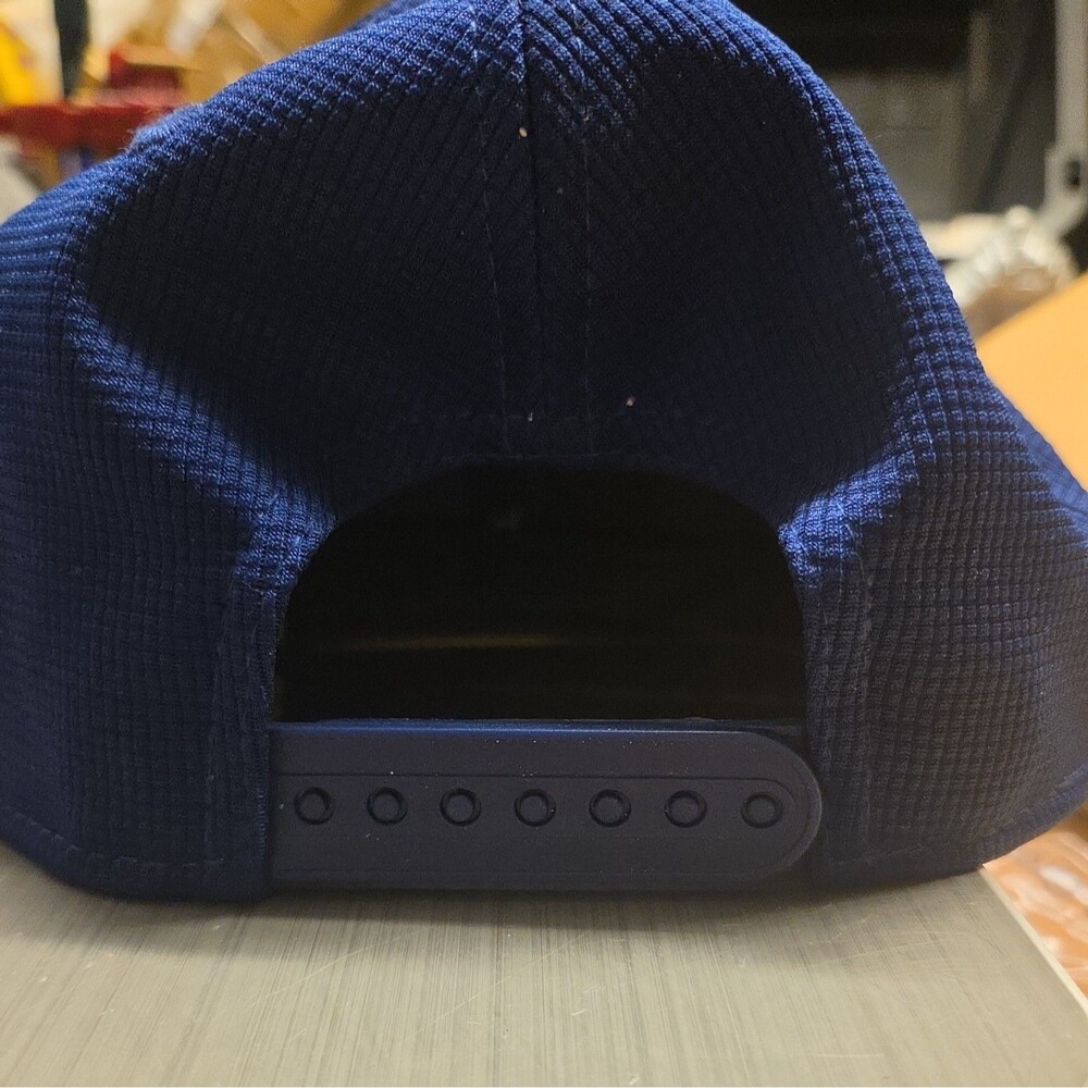 Los Angeles Dodgers New Era Royal 2025 Spring Training 59FIFTY Snapback - Picture 3 of 5